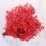 Dried Babysbreath Flower Manufacturer - Preserved Gypsophila for Wedding