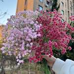 Artificial Baby's Breath Manufacturer - Dalian Chermy Wholesale Best Seller Real Touch Latex White