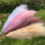Artificial Pampas Grass Manufacturer - Hot Sale for Wedding Flowers Decoration