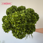 Artificial Hydrangea Manufacturer - Best Seller Large Head Silk Dark Green