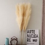Artificial Faux Pampas Grass Manufacturer - 110cm Cream Color for Home Decor and Wedding