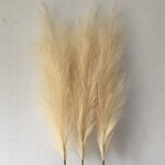 Artificial Pampas Grass Manufacturer - Fluffy Large for Wedding Decoration