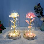 Rose in Glass Dome Manufacturer - Valentine's Day Novelty with Led Light and Gift Box