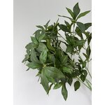 Artificial Greenery Plants Manufacturer - CM-DC028 Dalian Chermy Wholesale New Designed for Home Party