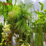 Artificial Hanging Plants Manufacturer - Dalian Chermy TH872 for Ceiling Greenery
