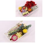 Dried Flower Material Manufacturer - Hot Sale Preserved Natural for Aromatherapy Candle