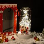 Glass Dome Manufacturer - 2022 New Christmas with Light Table Decoration Tree Old Man Elk LED