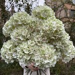 Artificial Hydrangea Manufacturer - 2026 New Large Head Green Silk Wholesale