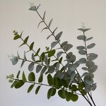 Artificial Eucalyptus Leaves Manufacturer - Dalian Chermy DC088 for Wedding Flower Arrangement Greenery