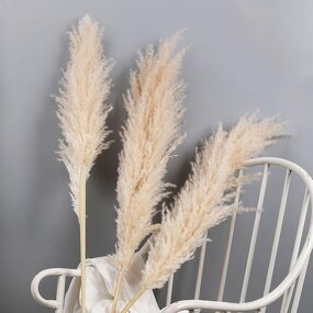 Dried Pampas Grass Manufacturer - Hot Selling Series Natural Real