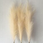 Artificial Pampas Grass Manufacturer - Fluffy Large for Wedding Decoration