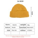Beanie Hat - Manufacturer - Wholesale Custom Logo Trawler Winter Outdoor Ski Warm Hat