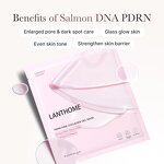 Facial Mask Sheet Manufacturer - Custom Hala Vegan Korean Salmon DNA PDRN Pink Collagen Jelly Gel Hydrating Overnight