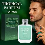 Perfume Manufacturer - Unisex OEM BOIS INTENSE Woody Light with Lavender Scent for Men and Women Long Lasting