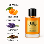 Eau De Parfum Manufacturer - OME Men's Long-Lasting Refreshing Notes with Alcohol-Based Formula