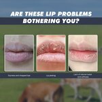 Lip Balm Manufacturer - Propolis Jelly Lipcerick Honey Cake Hydrating Gloss with Manuka Honey Hyaluronic Acid