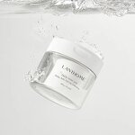 Facial Pads Manufacturer - OEM Daily Toner Pad Exfoliating with BHA & PHA Deep Hydration Centella Tea Tree