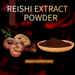 Reishi Mushroom Manufacturer - EU Organic Food Grade Vitamin Supplement Drum
