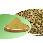 Scutellaria Baicalensis Manufacturer - CAS 491-67-8 Baicalein 98% Powder