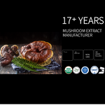 Reishi Mushroom Manufacturer - 100% Food Grade Healthcare Ganoderma Lucidum Drum