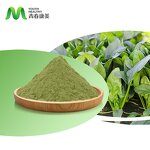 Spinach Powder Manufacturer - Fresh Vegetable Food Grade Drum