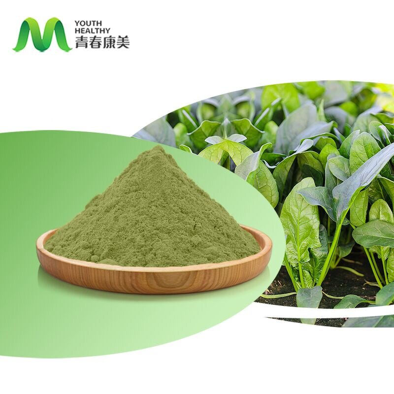 Spinach Powder Manufacturer - Fresh Vegetable Food Grade Drum