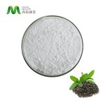 L-theanine Powder Manufacturer - Private Label Wholesale 99% Tea Extract