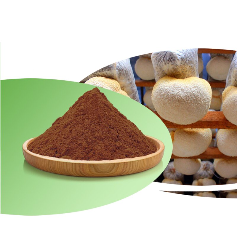 Hericium Erinaceus Extract Manufacturer - Organic Bulk