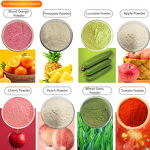 Mango Powder Manufacturer - High Nutritional Freeze Dried Herbal Container & Drum