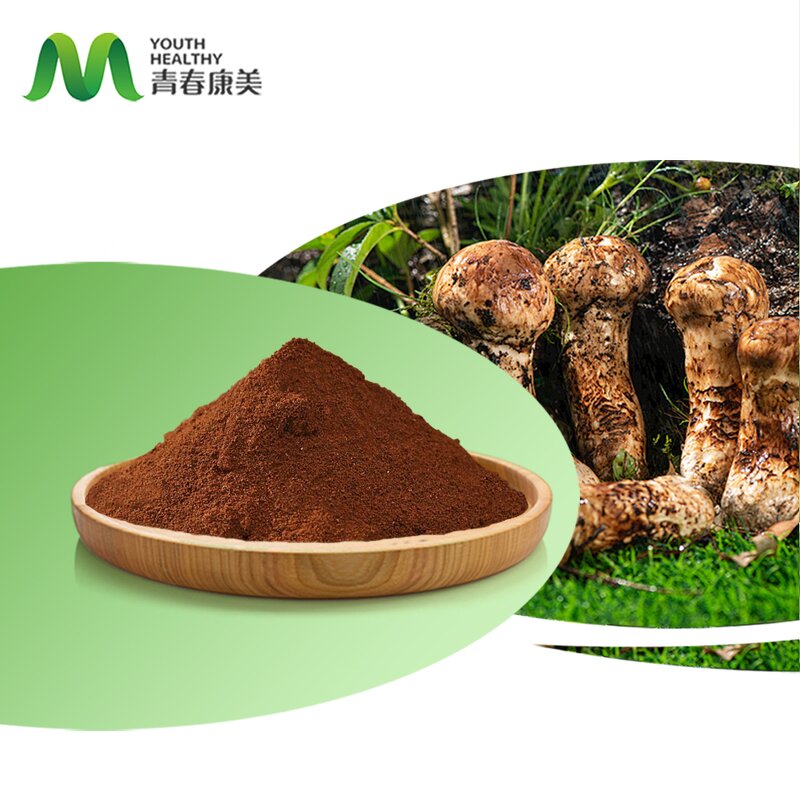 Tricholoma Matsutake Manufacturer - Youth Strong Food Grade Bottle