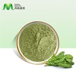 Spinach Powder Manufacturer - Fresh Vegetable Food Grade Drum