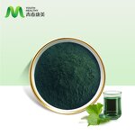Mulberry Leaf Extract Manufacturer - 15% Sodium Copper Chlorophyllin HPLC Drum