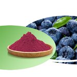 Blueberry Juice Manufacturer - Water Soluble Organic