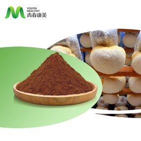 Lions Mane Extract Manufacturer - High Quality Organic Hericium Erinaceus