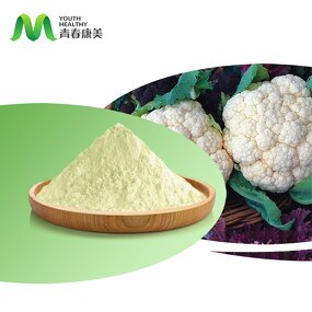 Cauliflower Powder Manufacturer - Organic Dehydrated Vegetable Supplement