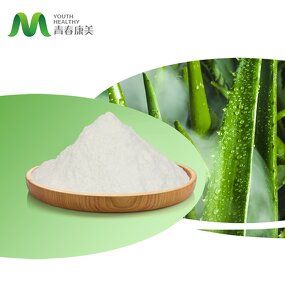 Aloe Vera Powder Manufacturer - Organic Cosmetics 50:1/100:1/200:1 Freeze Dried