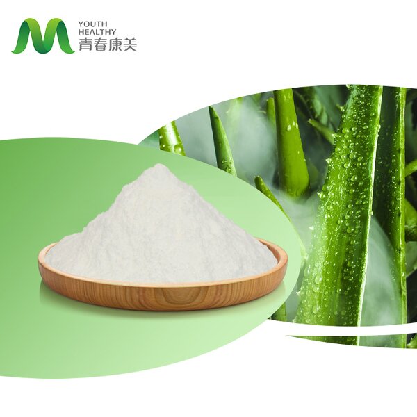 Aloe Vera Powder Manufacturer - Organic Cosmetics 50:1/100:1/200:1 Freeze Dried