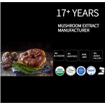 Reishi Mushroom Manufacturer - EU Organic Food Grade Vitamin Supplement Drum