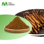 Cordyceps Sinensis Manufacturer - Organic Healthcare Cordycepin Rich Drum