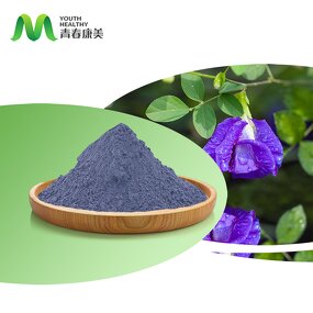 Blue Butterfly Pea Manufacturer - Phytosanitary Wholesale Organic