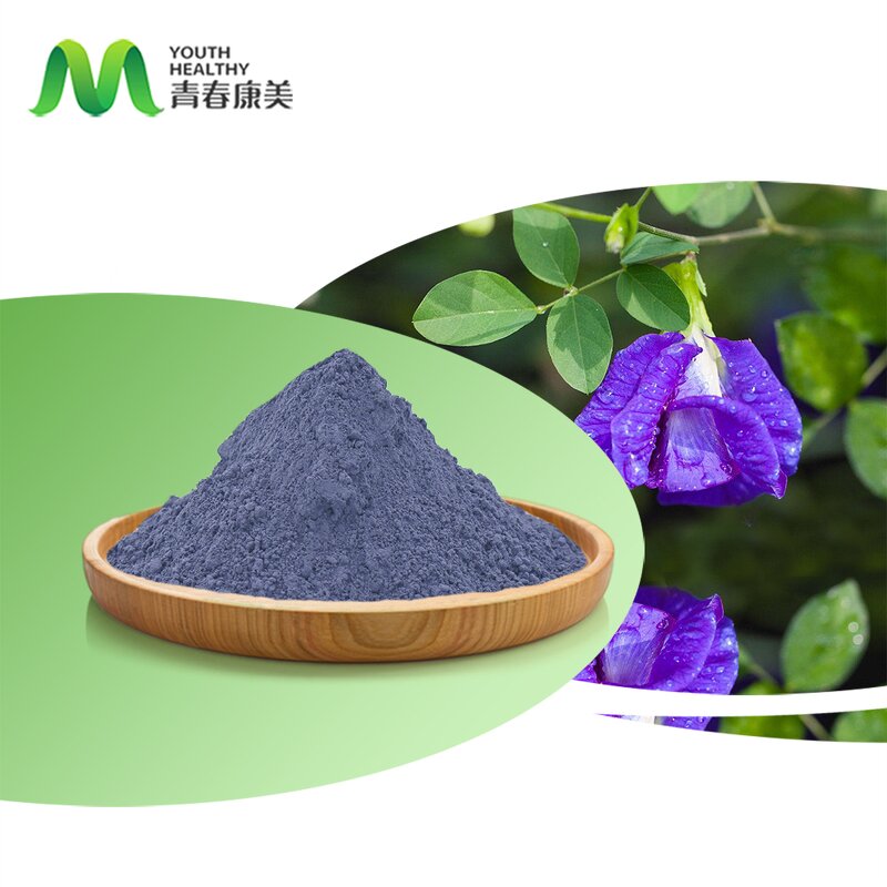 Blue Butterfly Pea Manufacturer - Phytosanitary Wholesale Organic