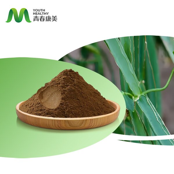 Cissus Quadrangularis Manufacturer - Youth Biotech Organic Leaf Extract