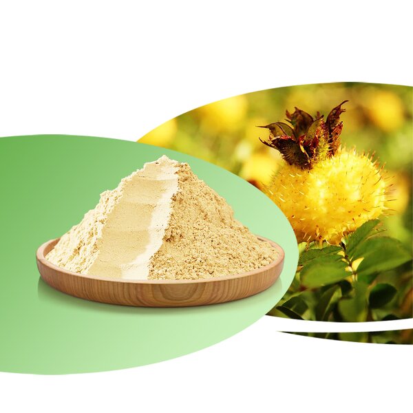 Pickly Pear Extract Manufacturer - SOD Food Grade Quality Control Drum