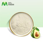 Avocado Powder Manufacturer - ISO Certified Dried Organic