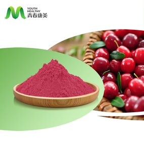 Cranberry Fruit Manufacturer - Hot Selling Concentrate Juice Extract