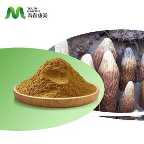 Cistanche Tubulosa Manufacturer - Youth China Organic Powder