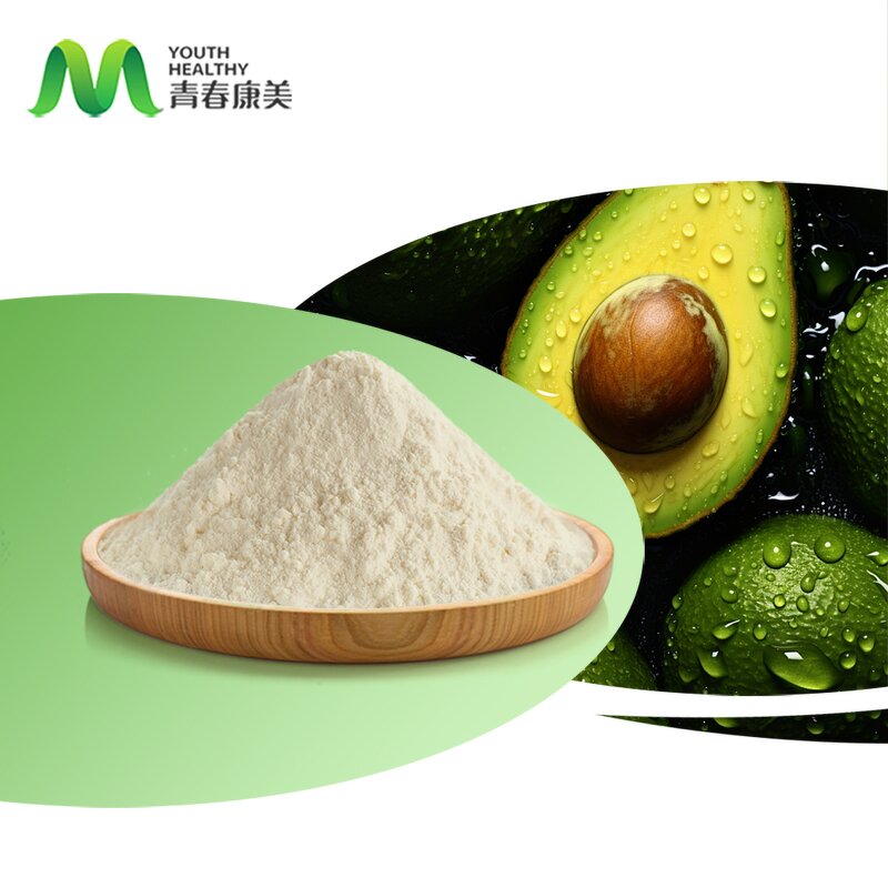 Avocado Powder Manufacturer - ISO Certified Dried Organic