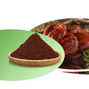 Reishi Mushroom Manufacturer - 100% Food Grade Healthcare Ganoderma Lucidum Drum
