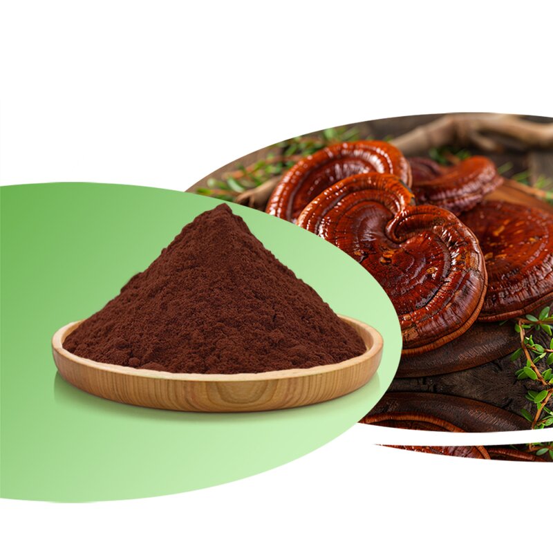 Reishi Mushroom Manufacturer - 100% Food Grade Healthcare Ganoderma Lucidum Drum