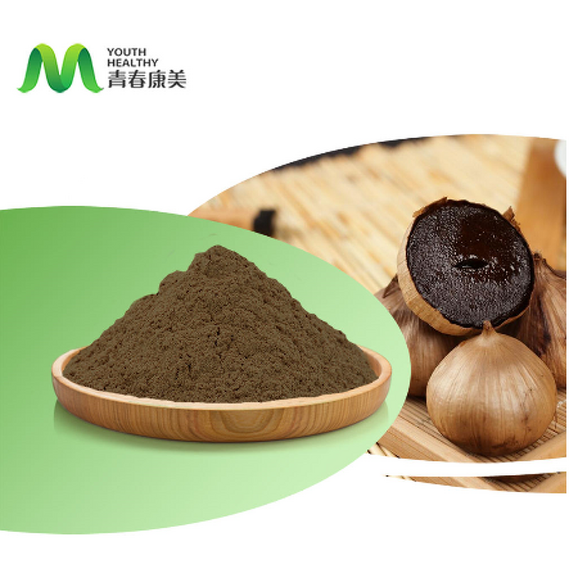Black Garlic Powder Manufacturer - China Fermented Bulk Sac